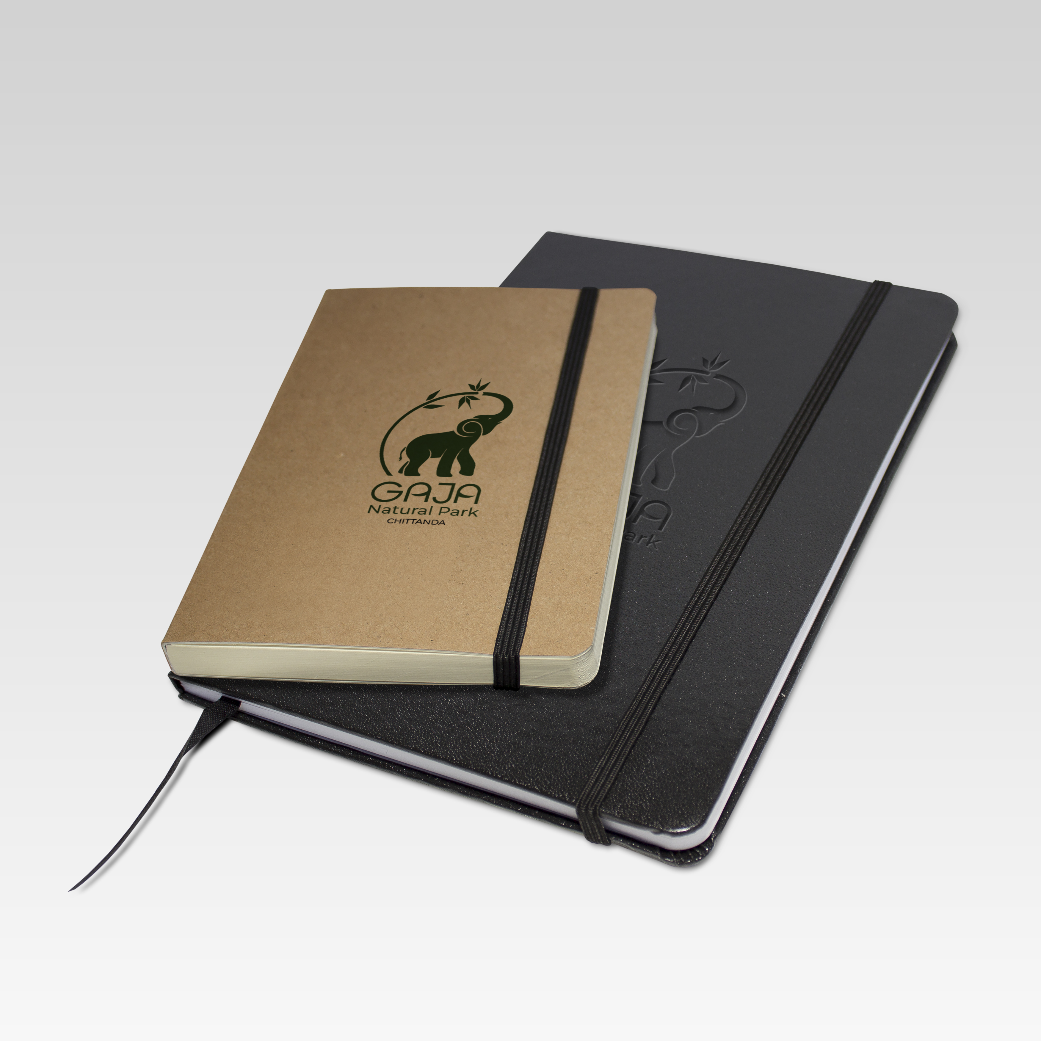 Luxury residence exterior